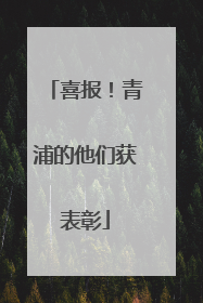 喜报！青浦的他们获表彰